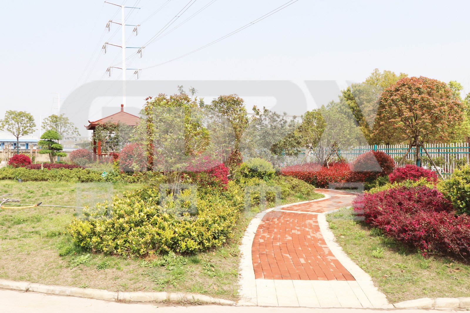 IMG_48951.jpg IMG_48951.jpg